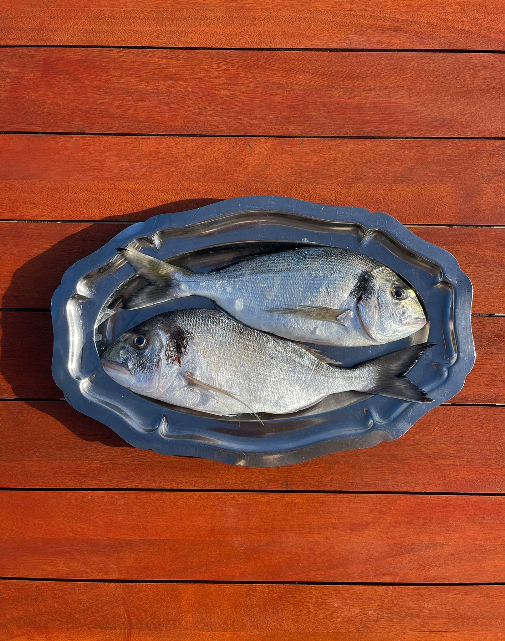 Poisson frais